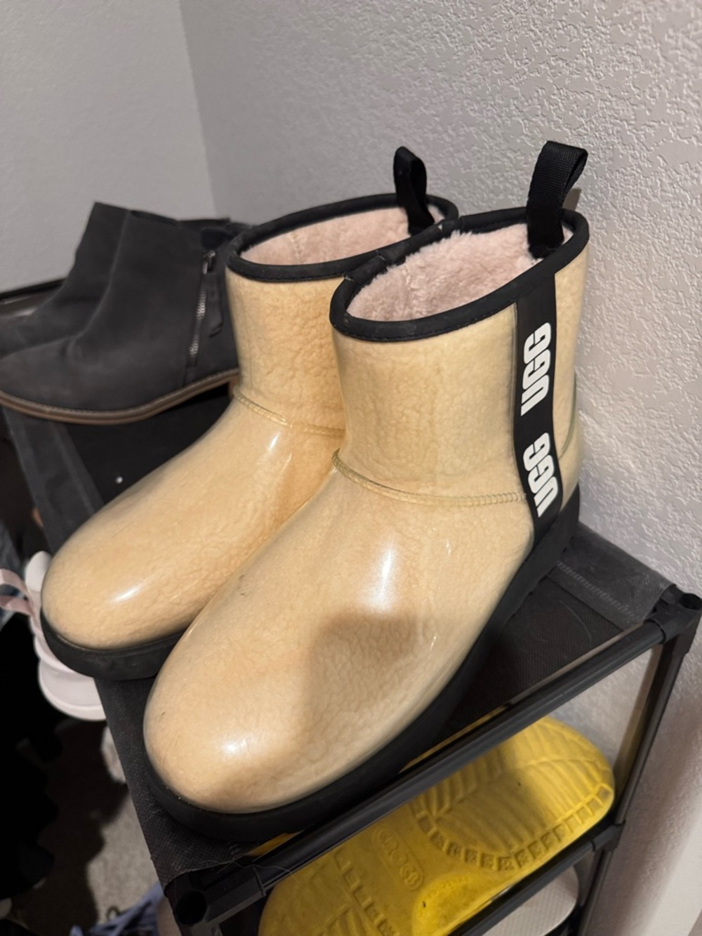 UGG Glossy Short Boot in Cream with Black Trim